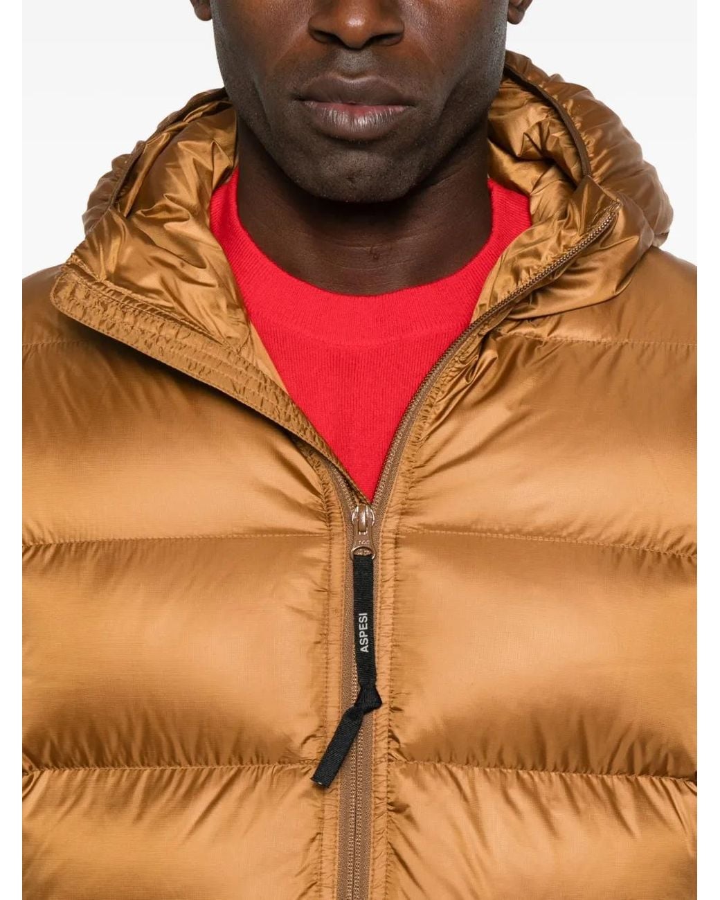 Aspesi Brown Giubb. Budd for men