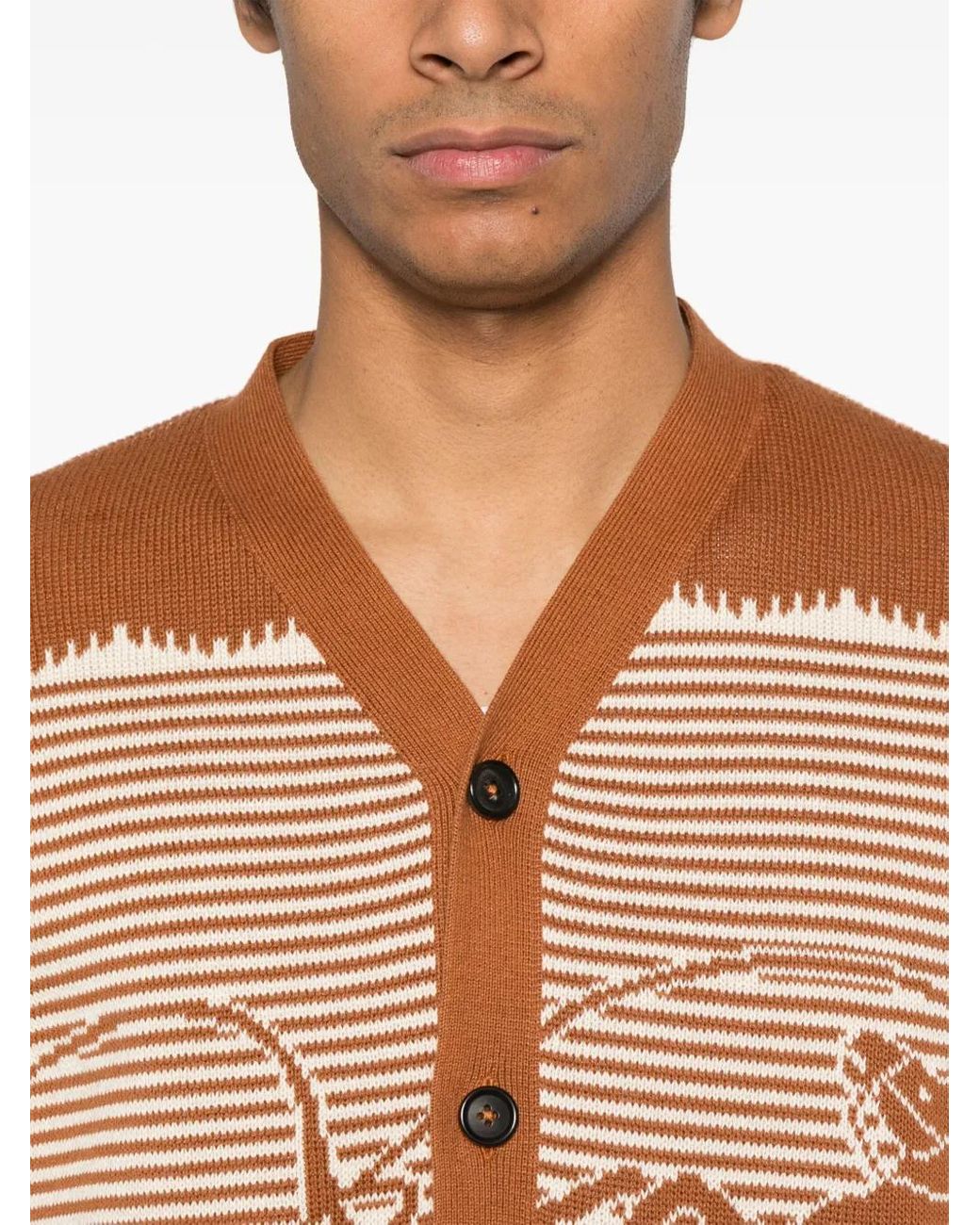 Bode Brown Buckaroo Cardigan for men