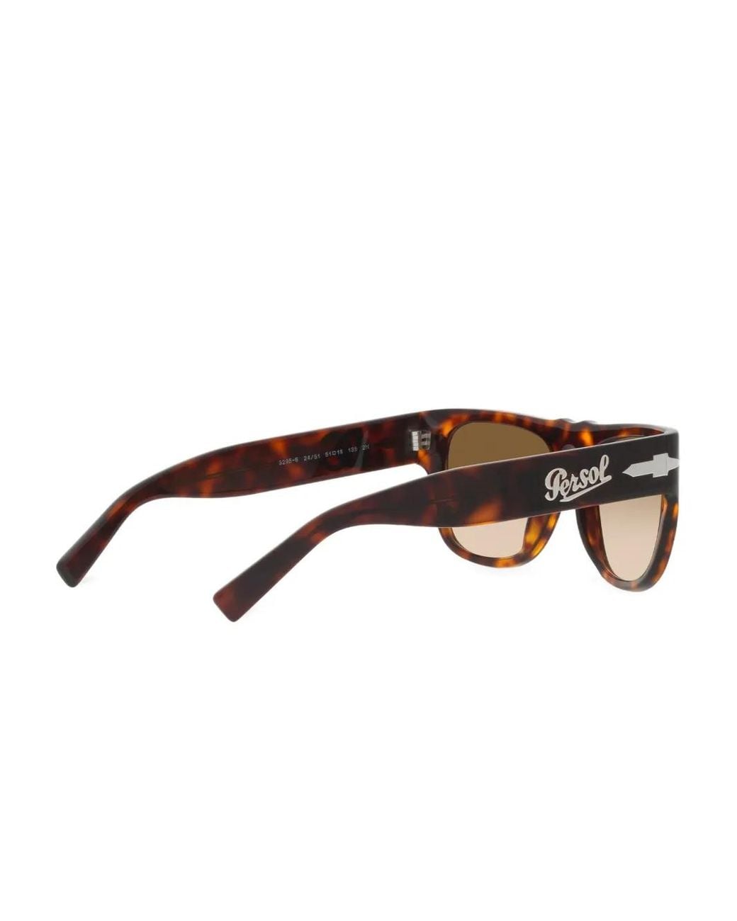 Dolce & Gabbana Brown X Persol Sunglasses