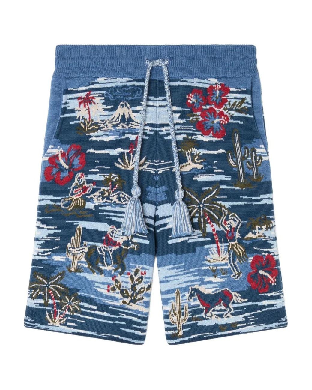 Alanui Blue Tex-Hawaii Roundtrip Shorts for men