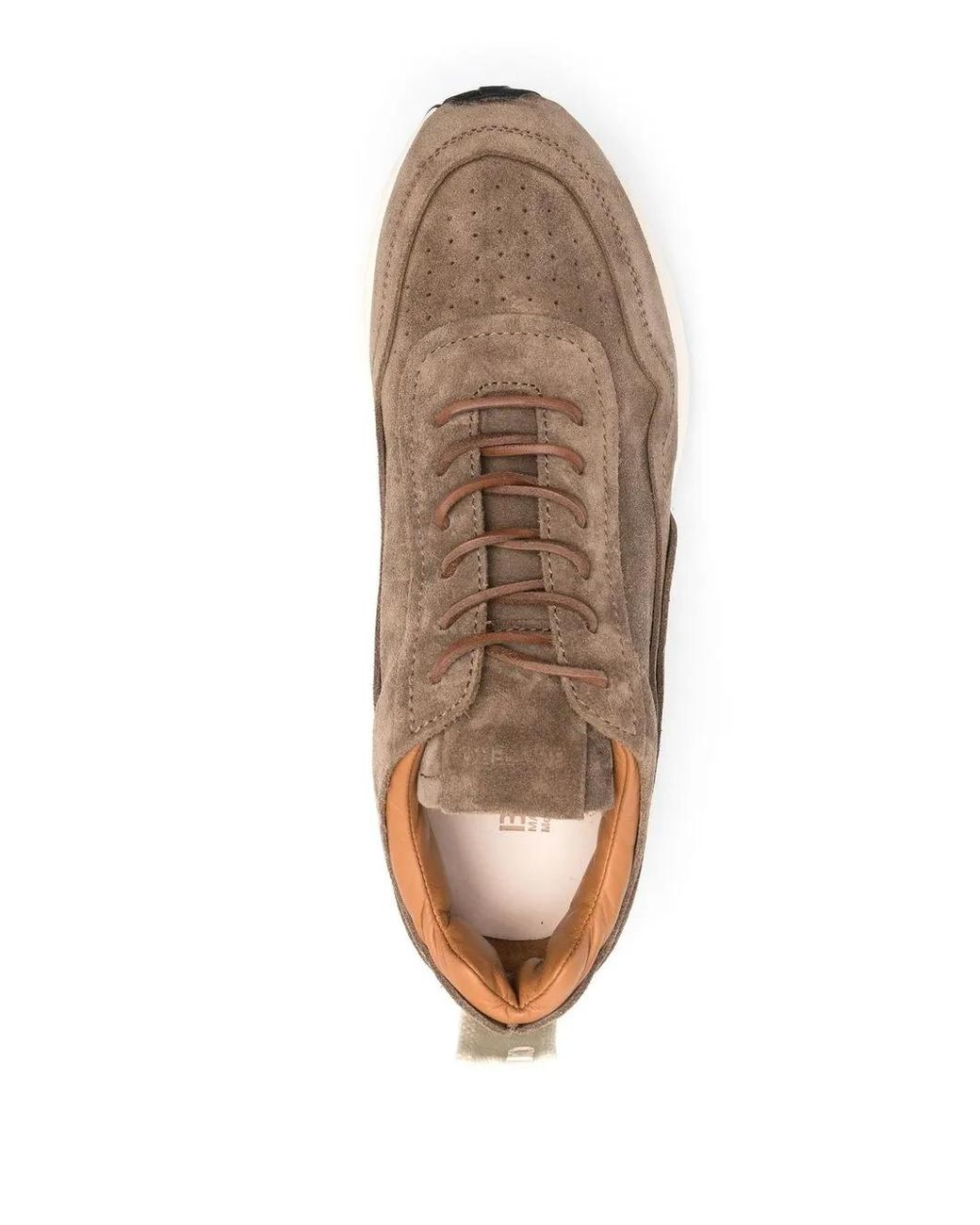 Buttero Brown Lo-Top Suede Sneakers for men