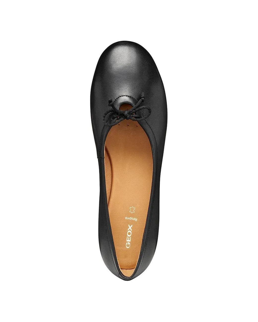 Geox Black New Palmaria Bow-Detail Ballet Flats