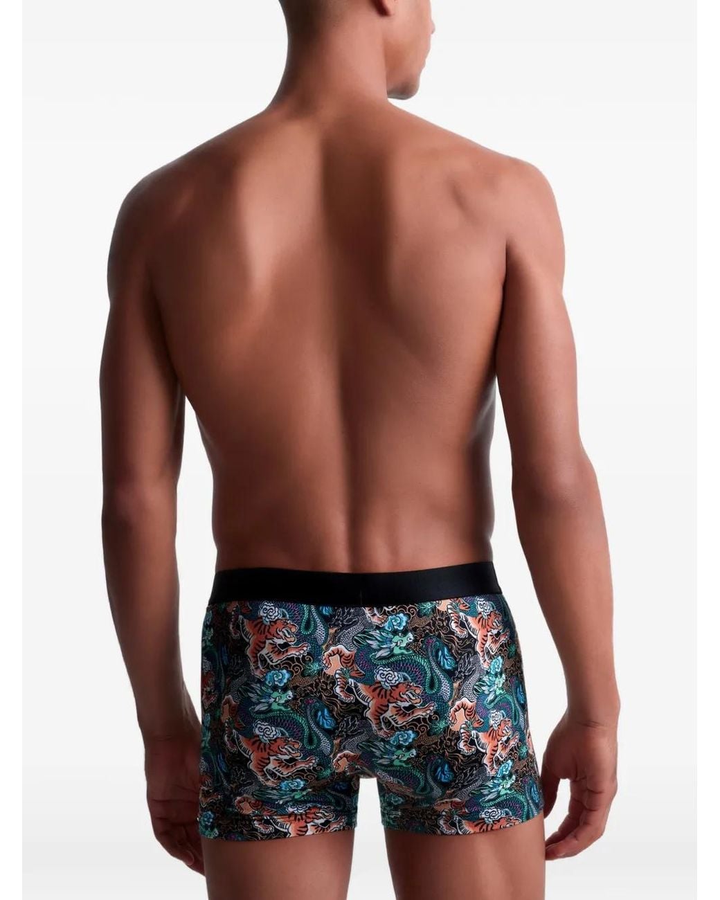 Aubade Tiger Dragon-Print Boxers in Blue for Men | Lyst