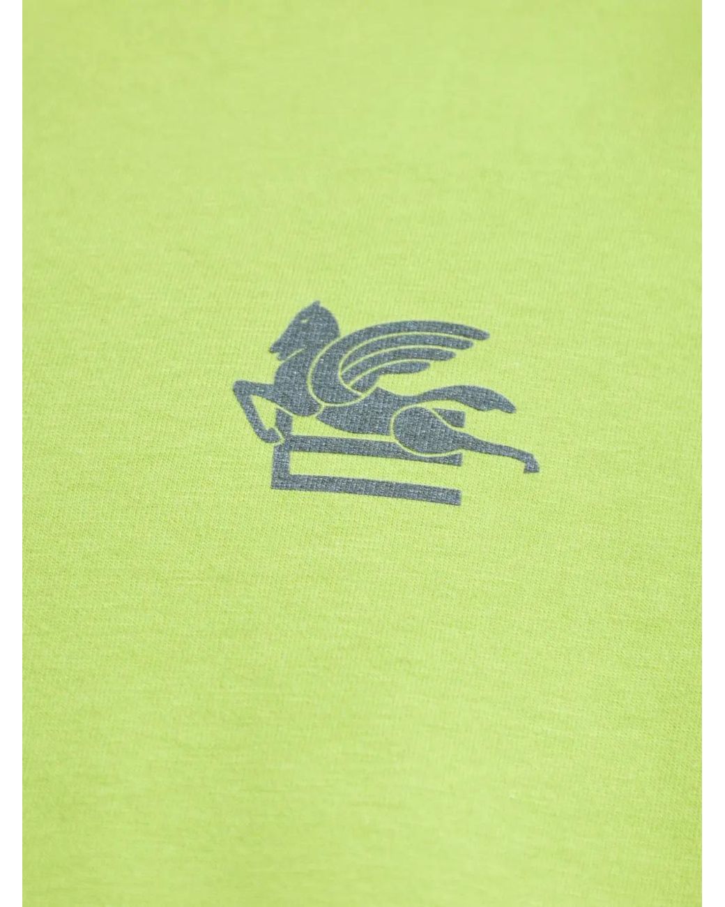 Etro Green Graphic-Print T-Shirt for men