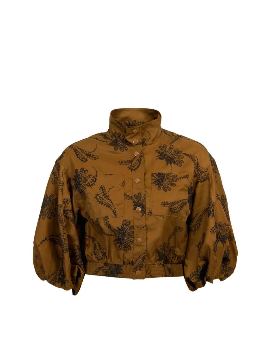 Cinq À Sept Brown Iggy Paisley-Embroidered Cropped Jacket