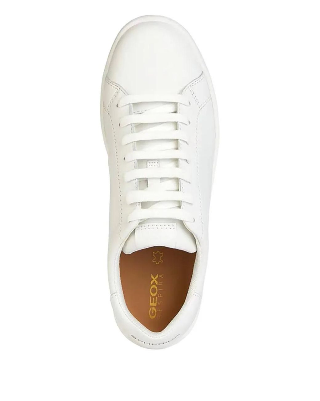 Geox White Spherica Ecub-1 Sneakers