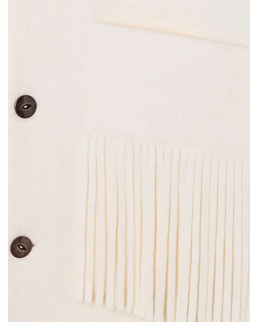 Alanui Natural Spirit Of The West Fringed Blazer