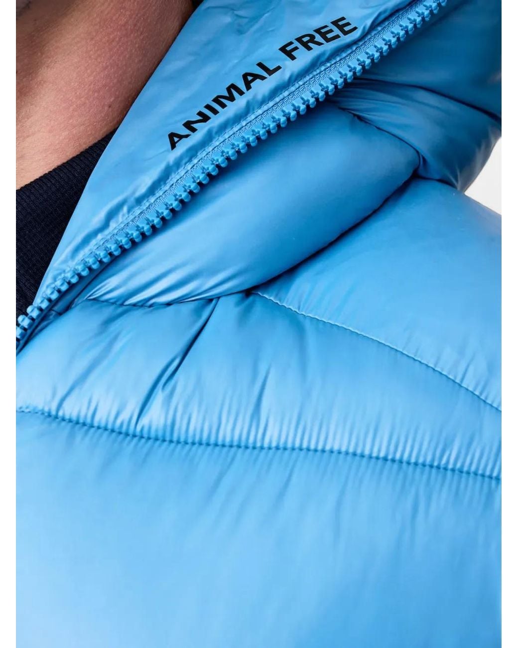 Save The Duck Blue Edgard Hooded Padded Jacket for men