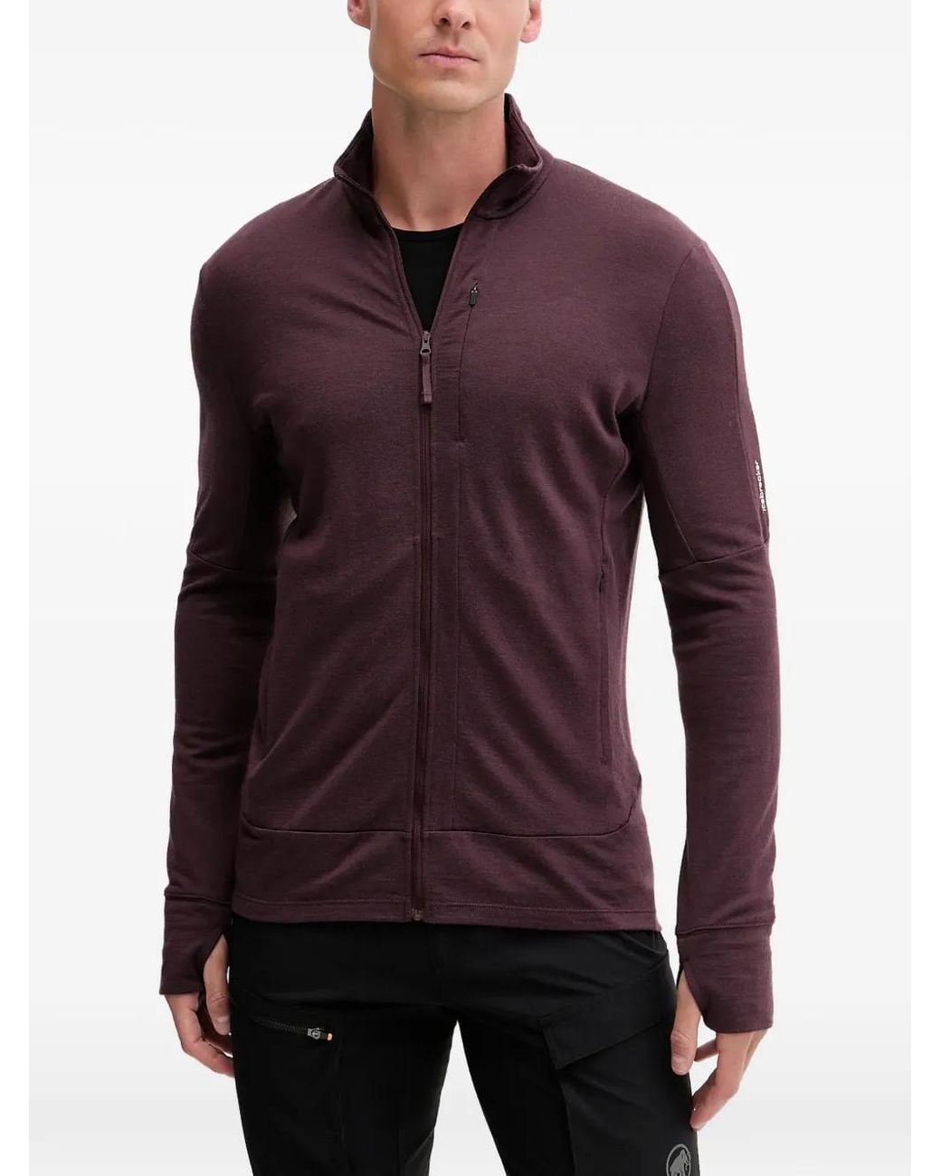 Icebreaker Purple Zip Jacket for men