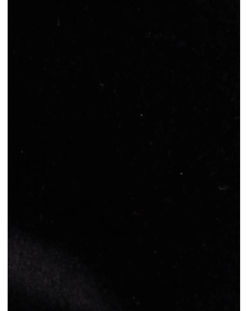 LaDoubleJ Black 24/7 Jacquard Trousers
