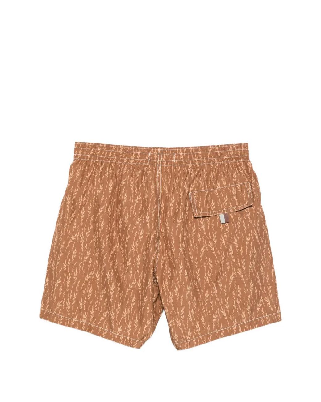 Canali Brown Leaf-Print Swim Shorts for men
