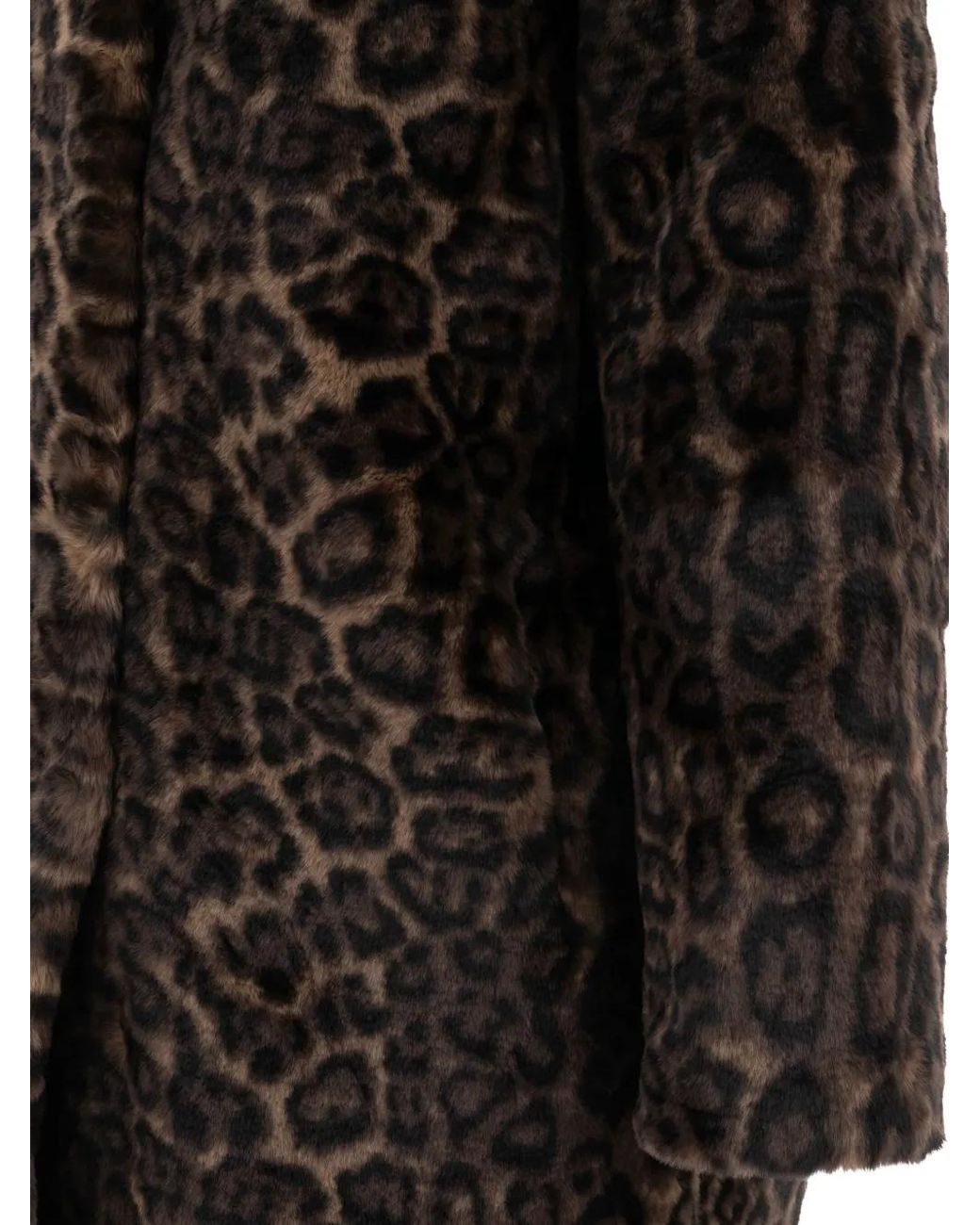Apparis Black Leopard-Pattern Coat