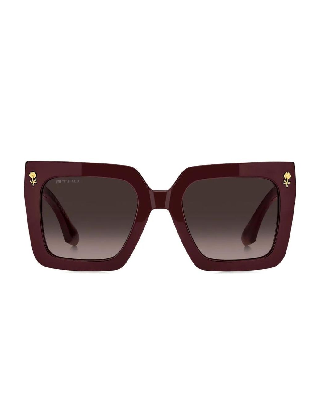 Etro Brown Colour Stripes Sunglasses