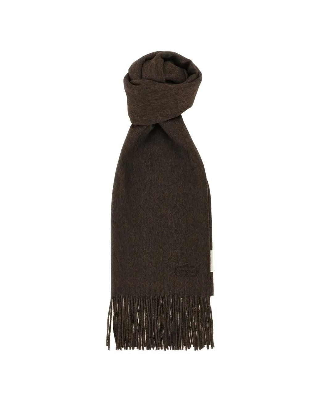 Sciarpa Con Frange E Logo di Agnona in Black