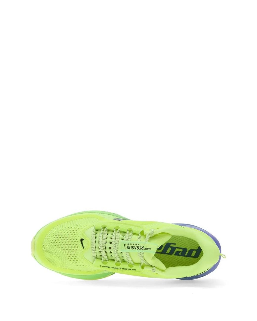 Nike Green Pegasus Premium Sneakers for men