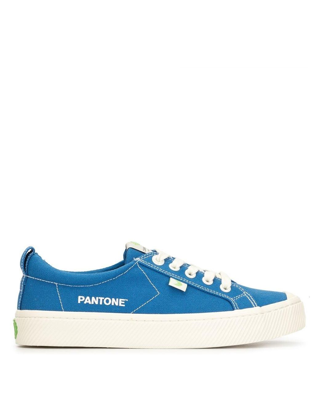 cariuma canvas sneakers