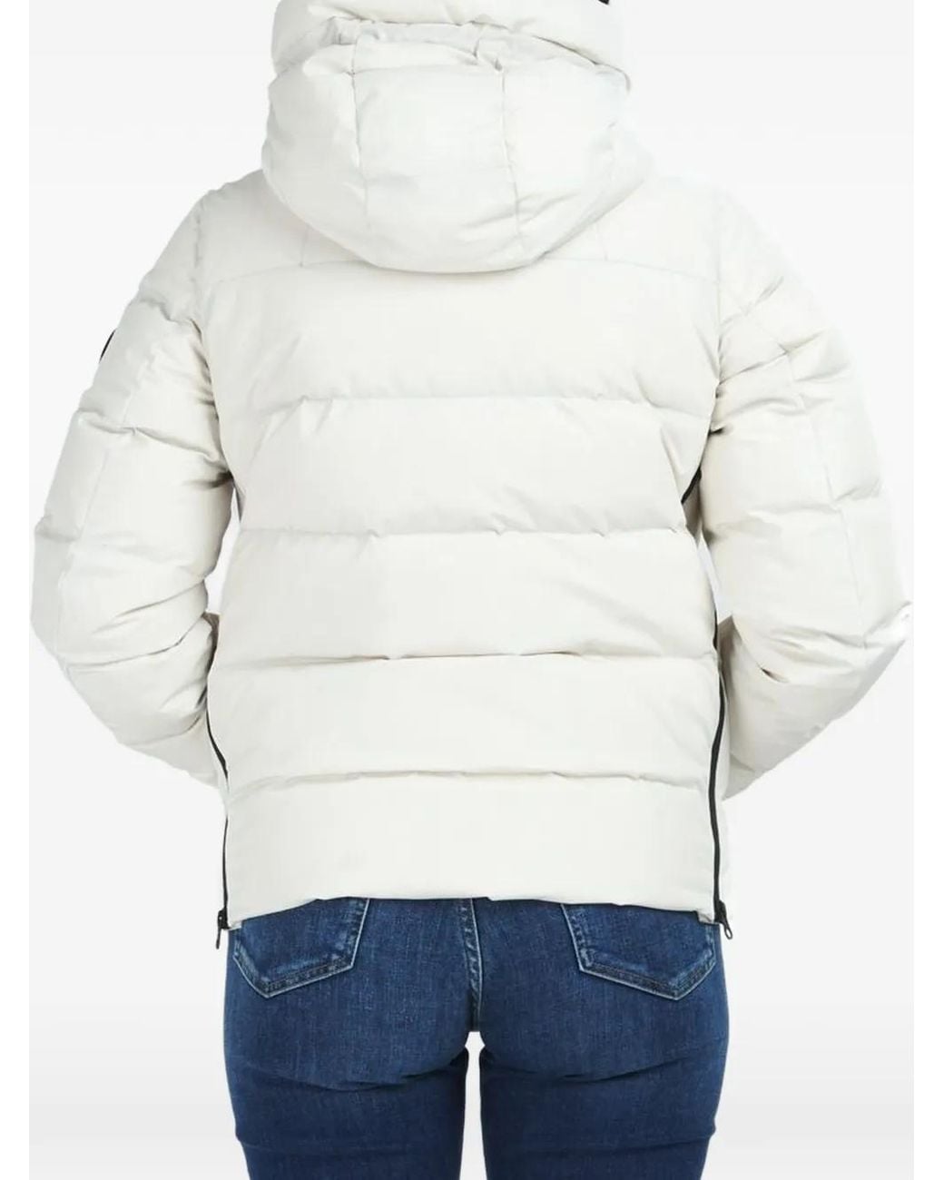 Antartica Blue Ginny Hooded Padded Jacket