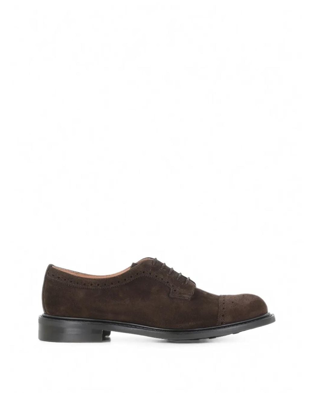 Cheaney Brown Brogue Suede Derby Shoes for men