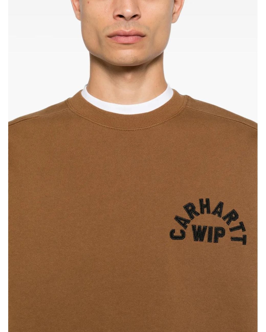 Carhartt Brown Arch Script Sweatshirt For for men