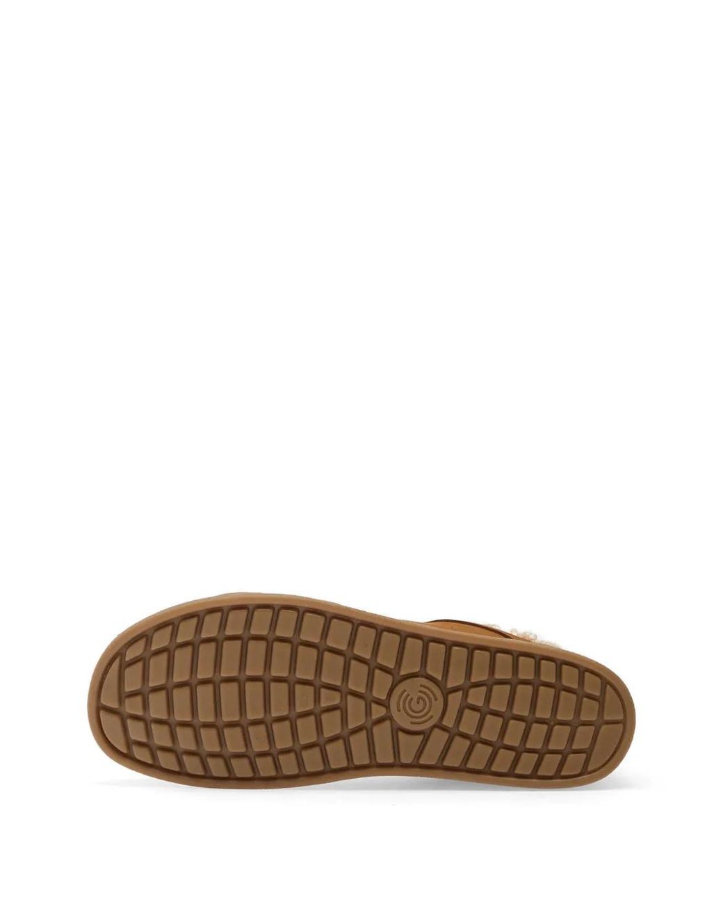 Groundies Brown Universe Teddy Sneakers