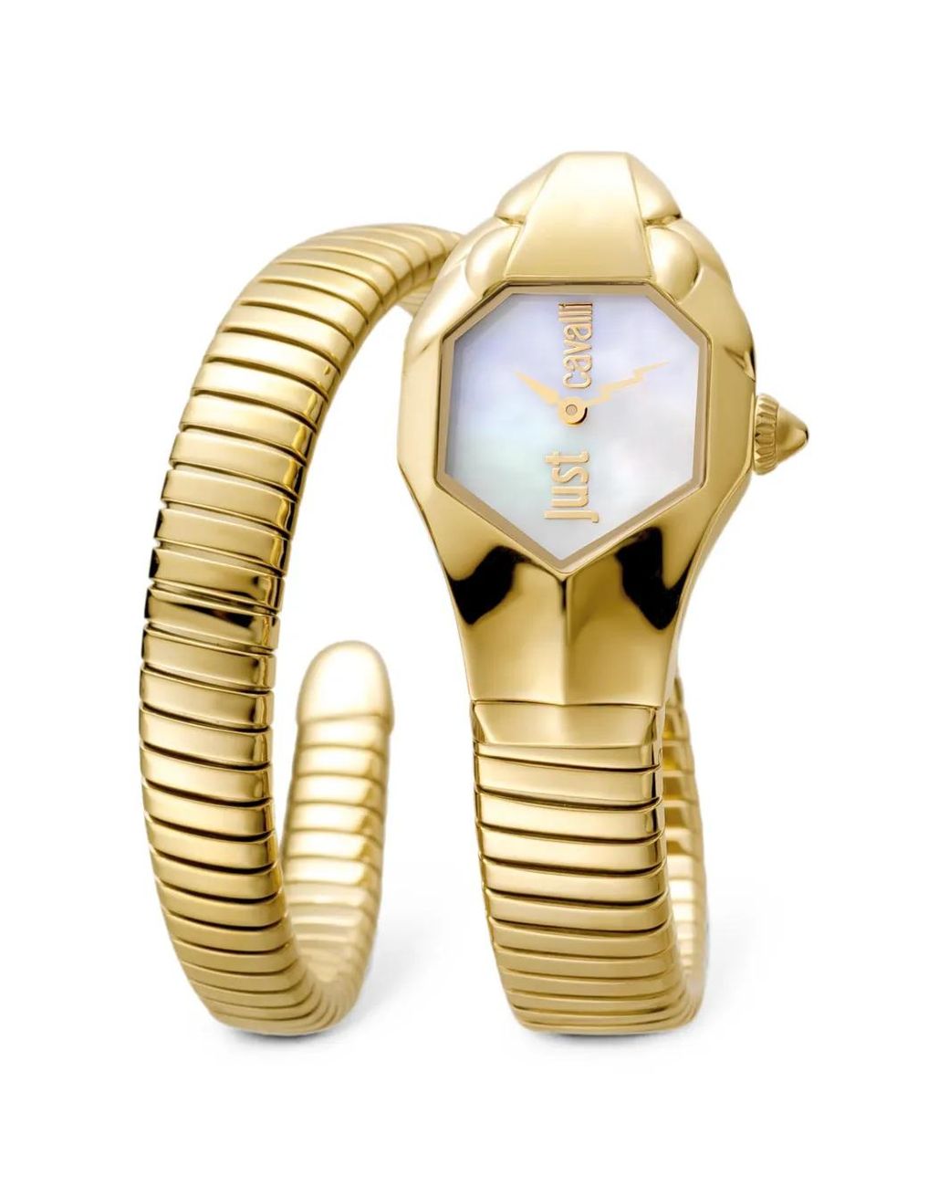 Just Cavalli Metallic Montre Glam Dna Mm
