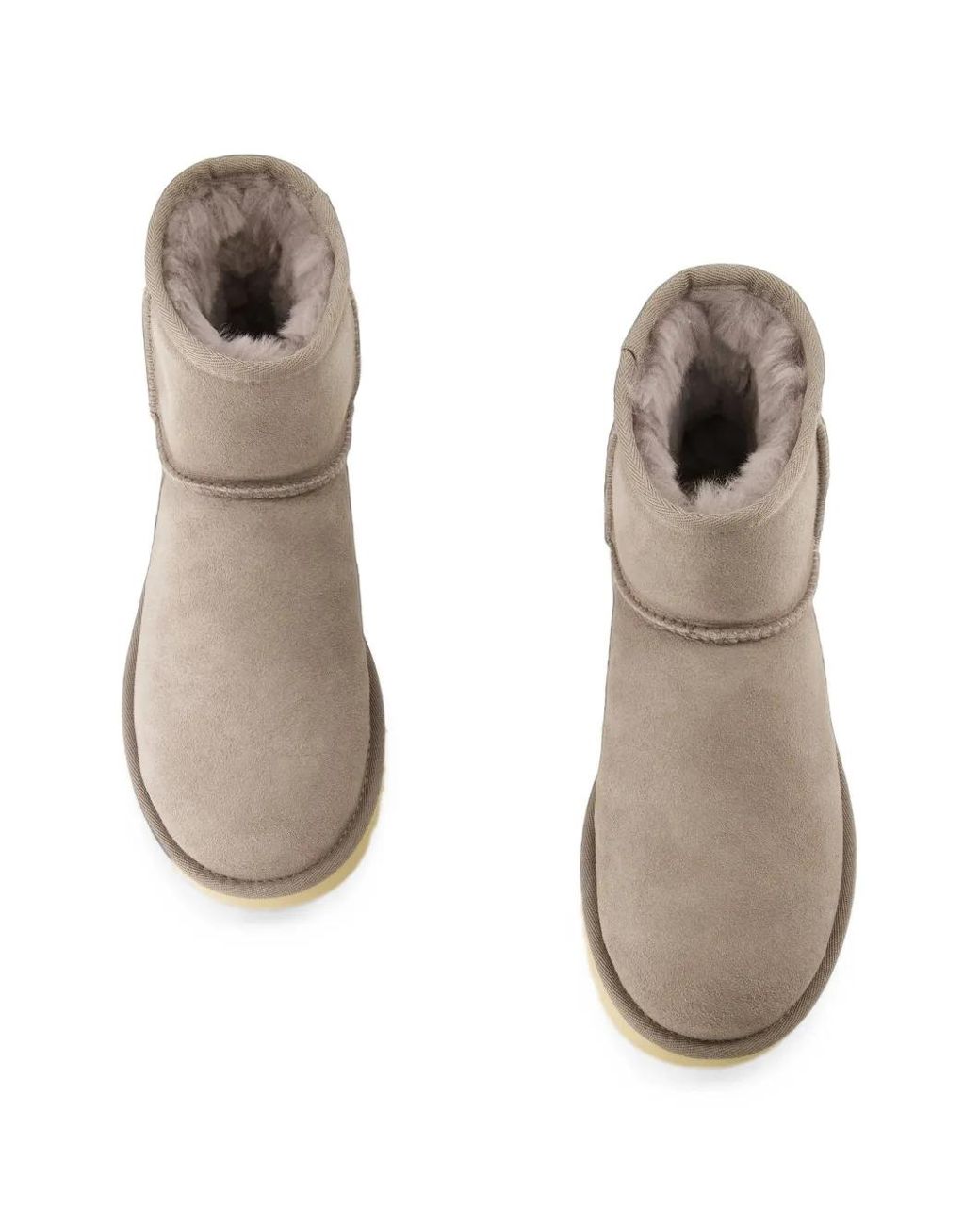 Ugg Brown Bottines Classic Mini Ii
