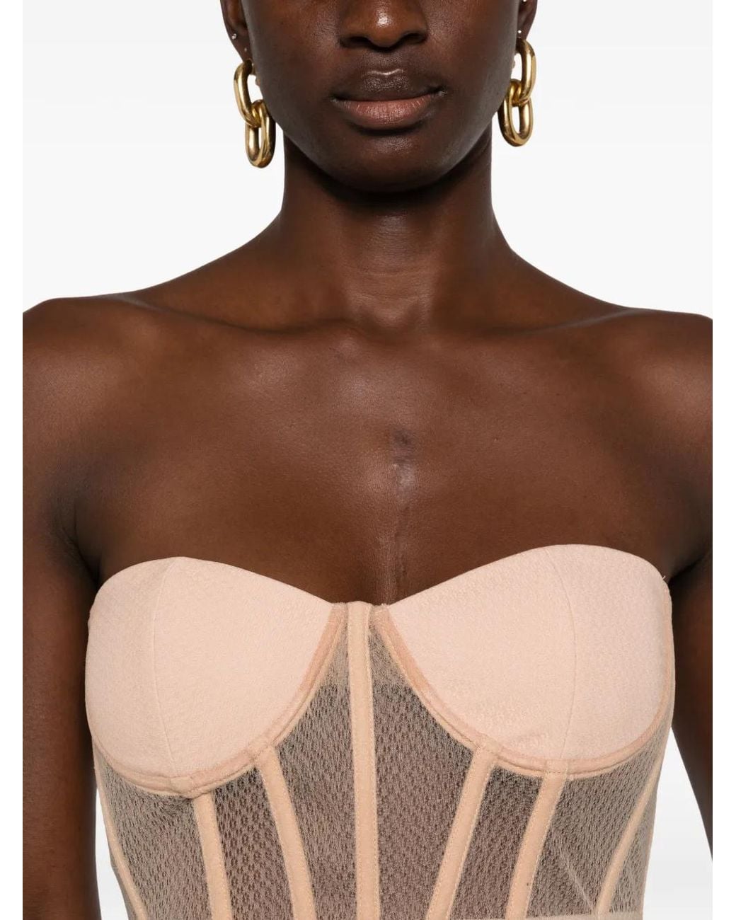 Elisabetta Franchi Pink Sheer-Panelled Corset Top