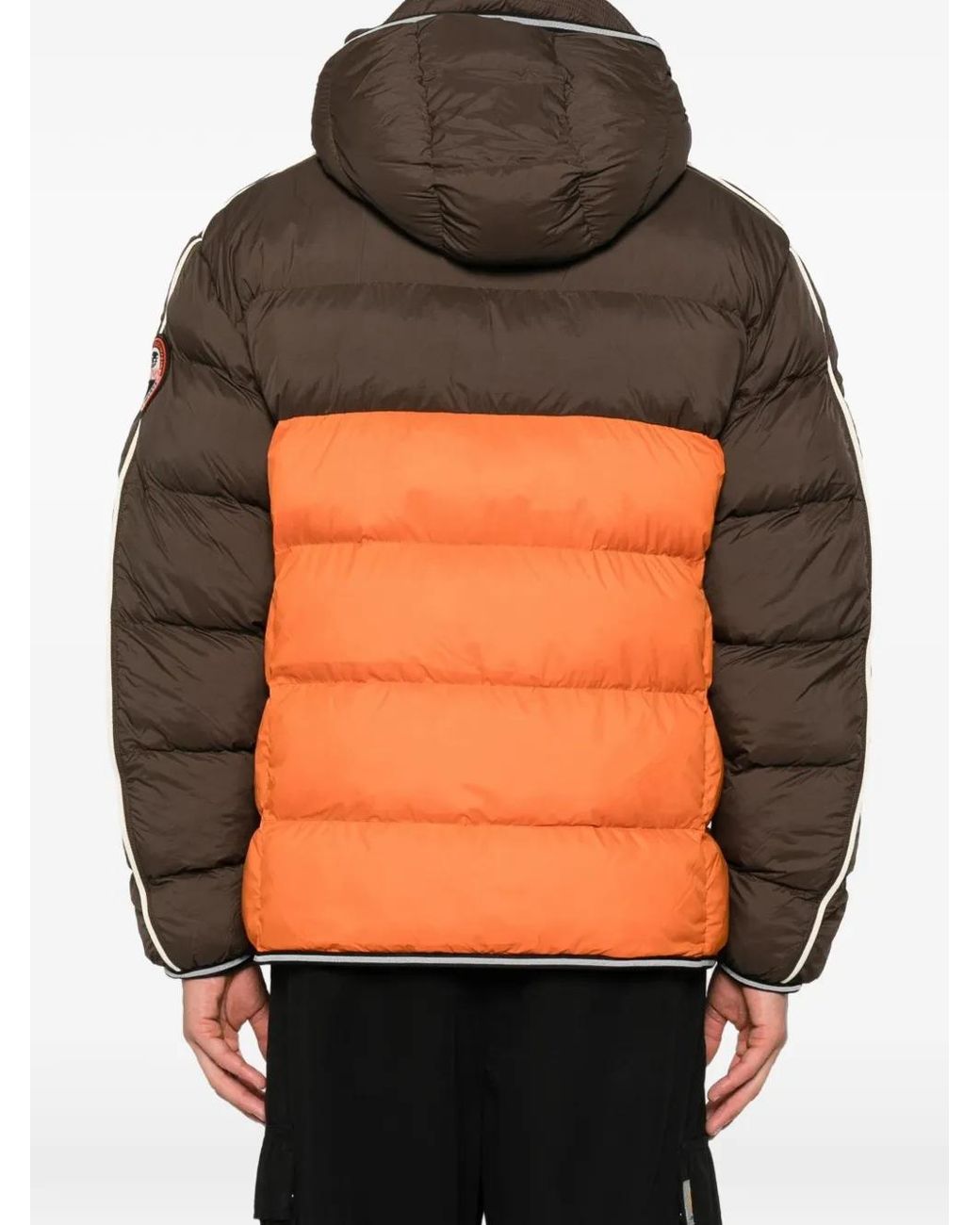 Napapijri Orange Archive Colour-Block Padded Jacket for men