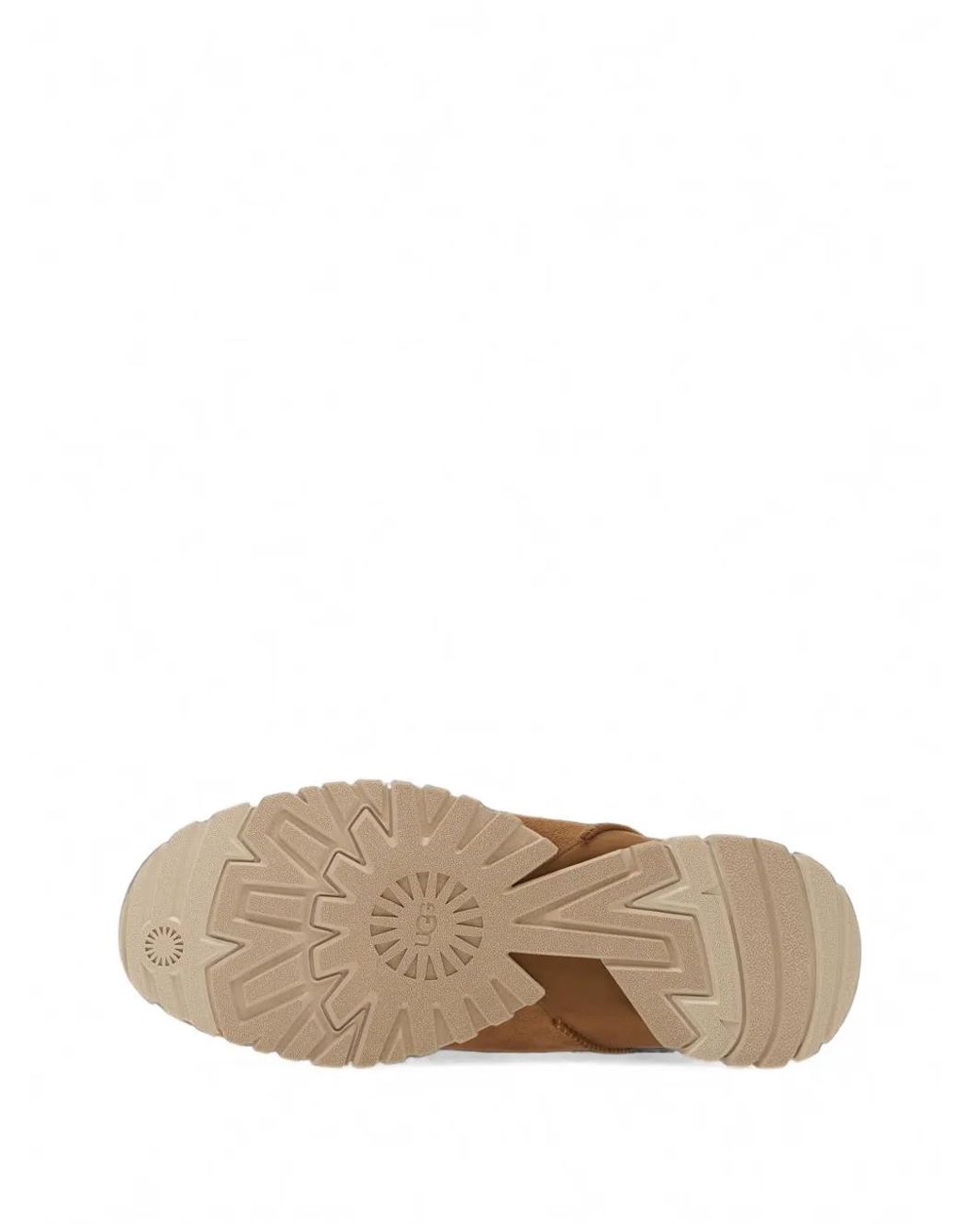 Ugg Brown Tasman Flex Sneakers for men