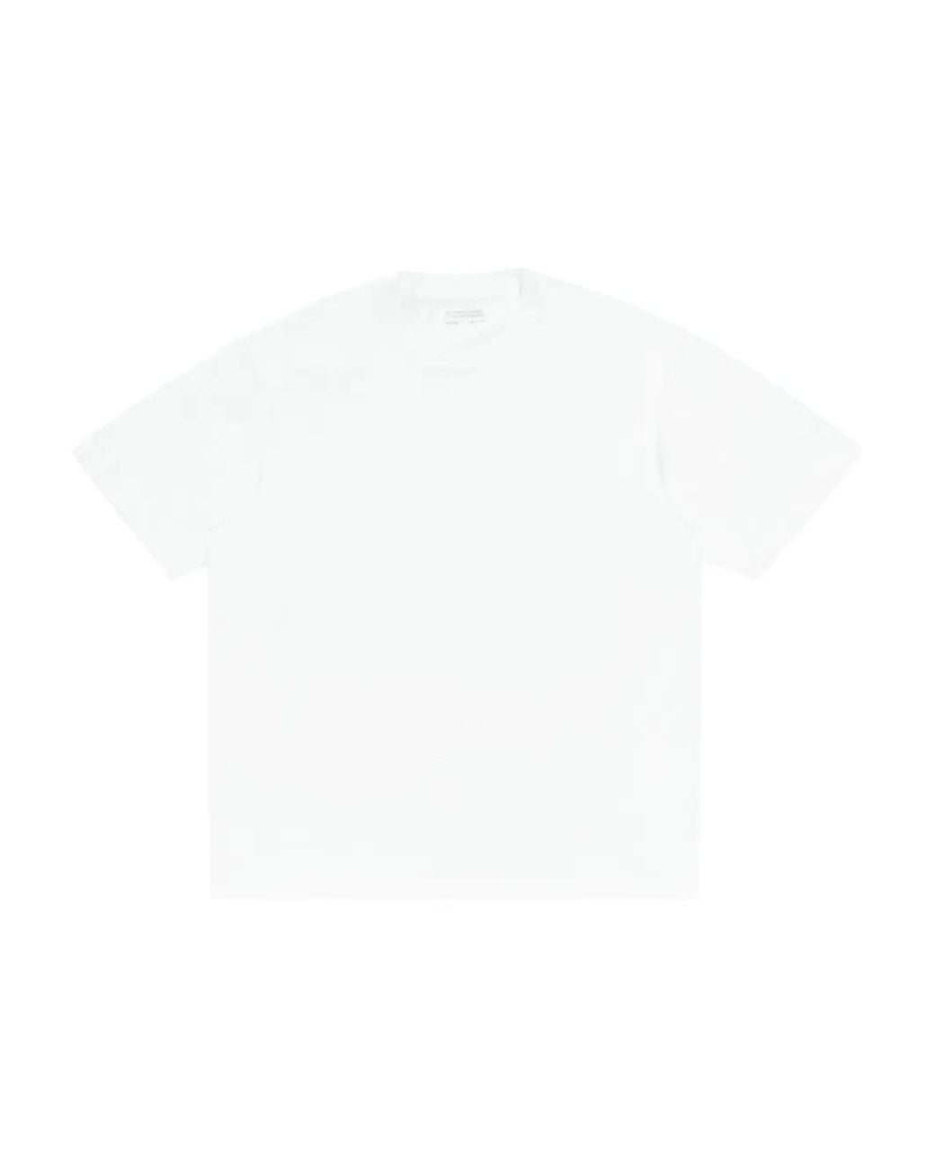 Lady White Co. White Athens Crew-Neck T-Shirt for men