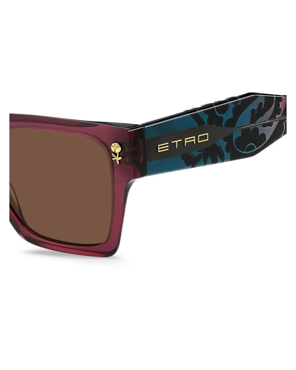 Etro Brown Flower-Detail Sunglasses