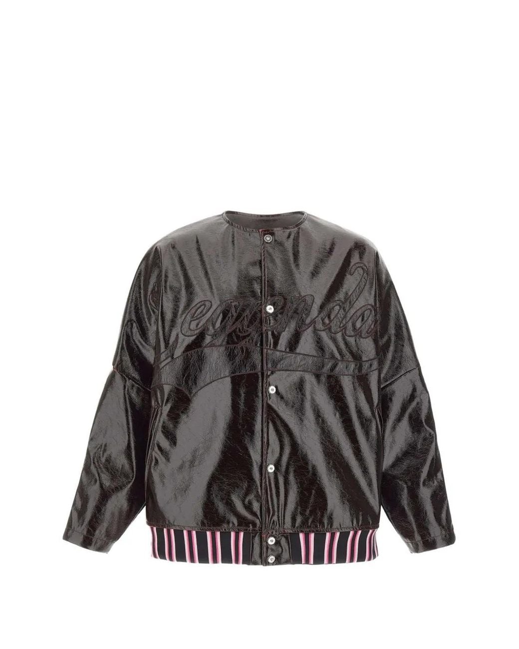 PDF Gray Leggenda Due Embroidered Logo Striped Jacket for men