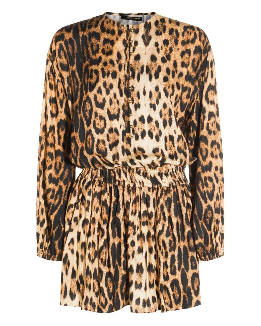 Roberto Cavalli Natural Leopard-Print Long-Sleeve Dress