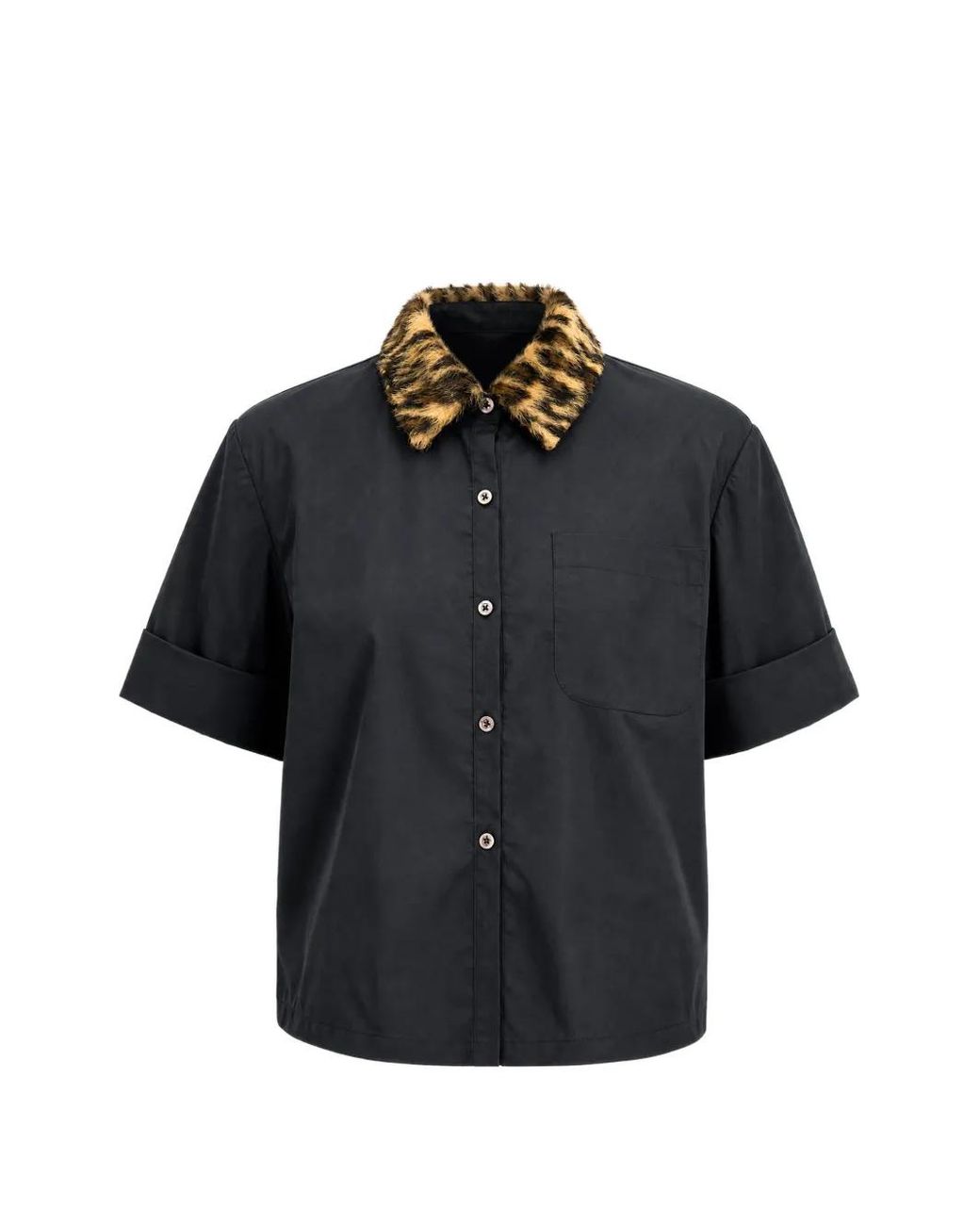 Toccin Black Zadie Leopard-Print Collar Cropped Shirt