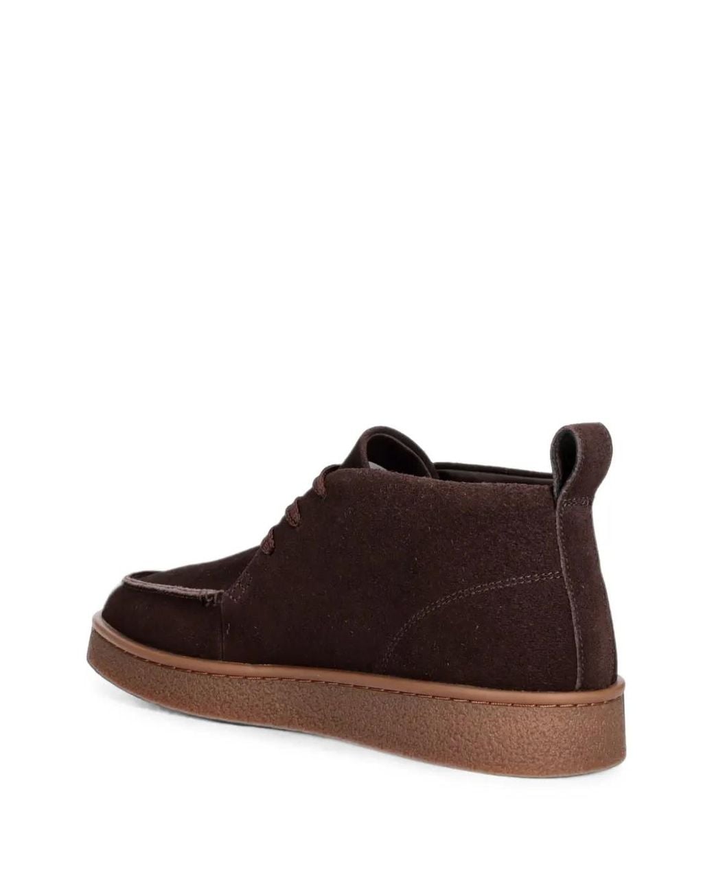 Lacoste Brown Baseshot Chukka Desert Boots for men