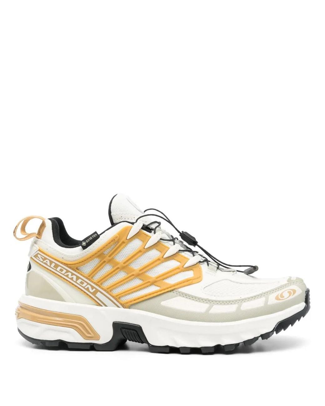 Salomon Natural Acs Pro Gtx Sneakers for men