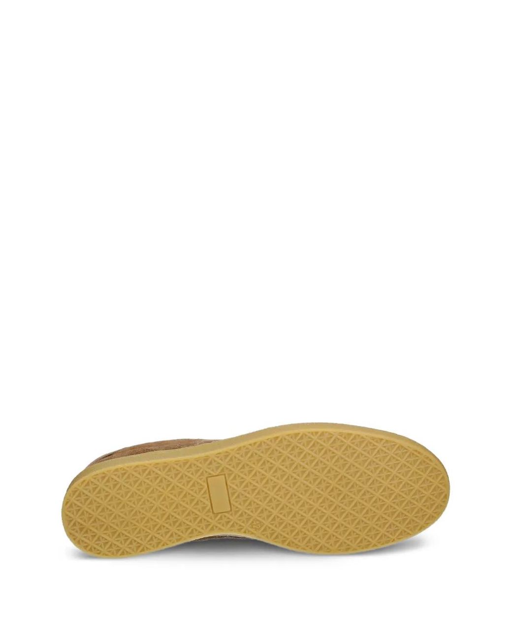 MSGM Brown Suede Sneakers for men