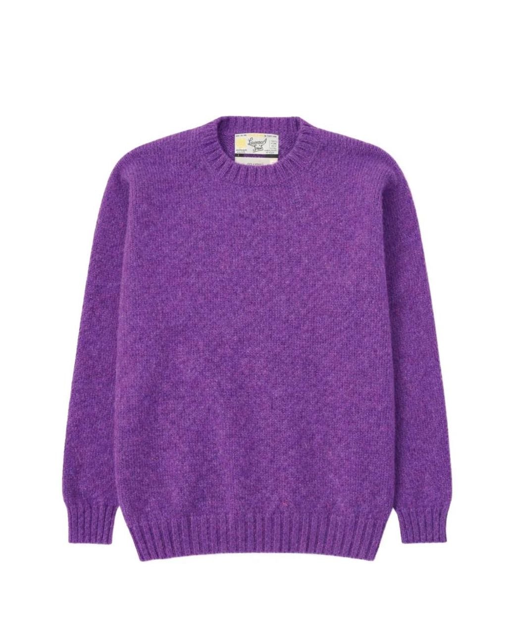 Fortela Purple Shetland Crew Neck Sweater for men