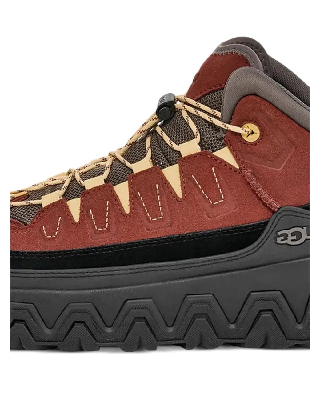 Ugg Brown Captrail High Sneakers
