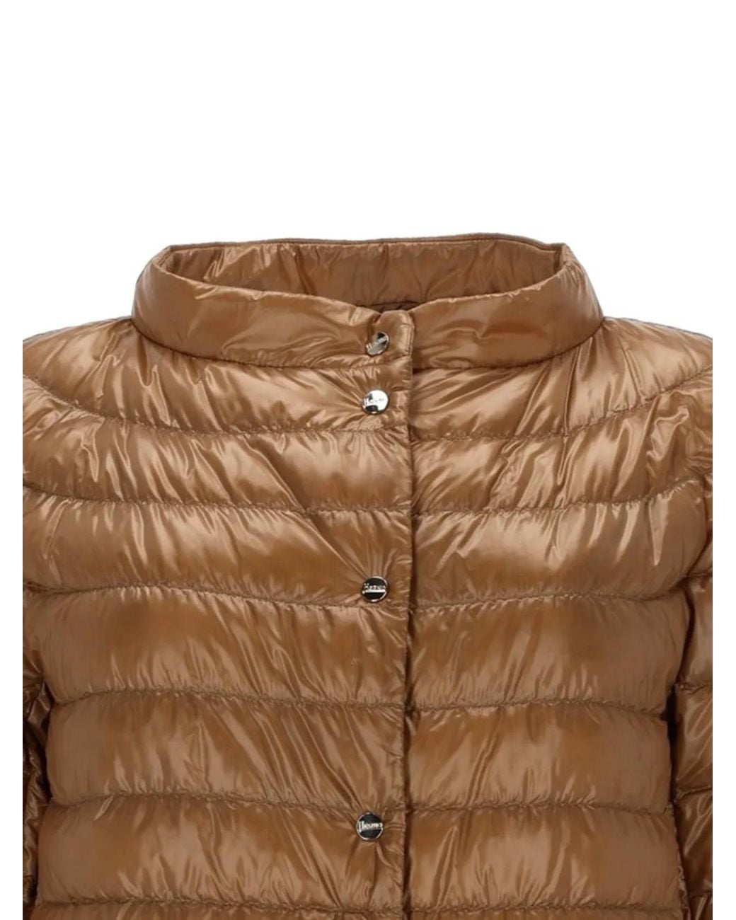 Herno Brown Button Front Jacket