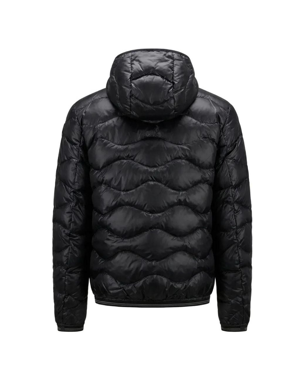 Blauer Black Quilted Jacket for men