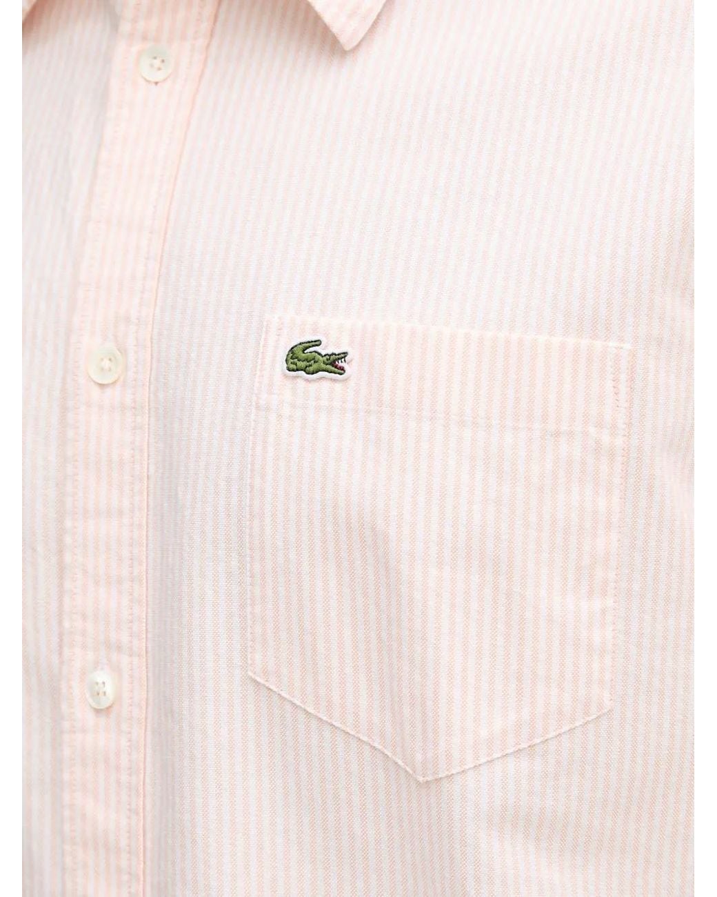 Lacoste White Striped Short-Sleeve Shirt for men