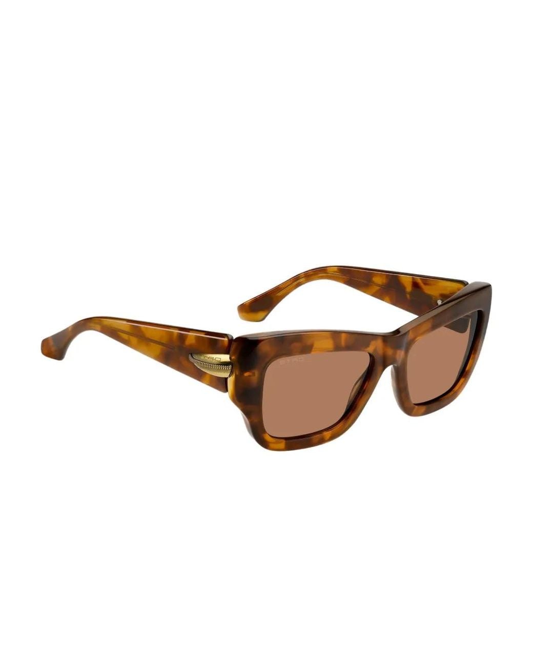 Etro Brown Tortoiseshell Rectangle-Frame Sunglasses
