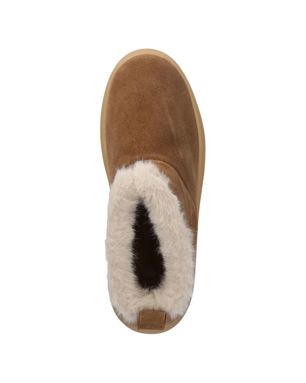 Blauer Brown Bottines Emery02 À Emblème