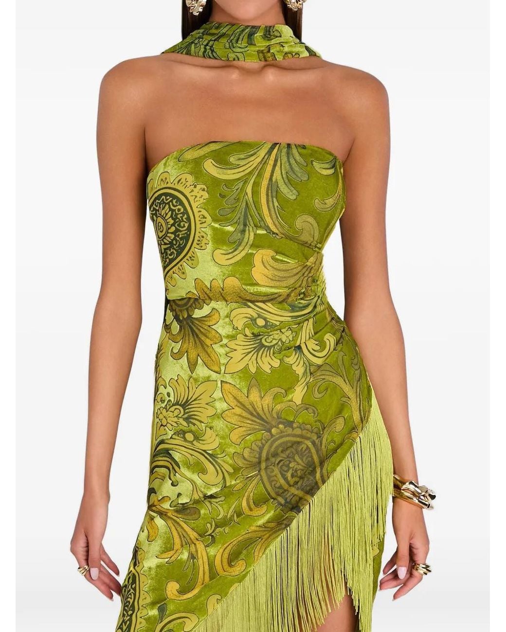 retroféte Green Statice Paisley-Burnout Velvet Dress