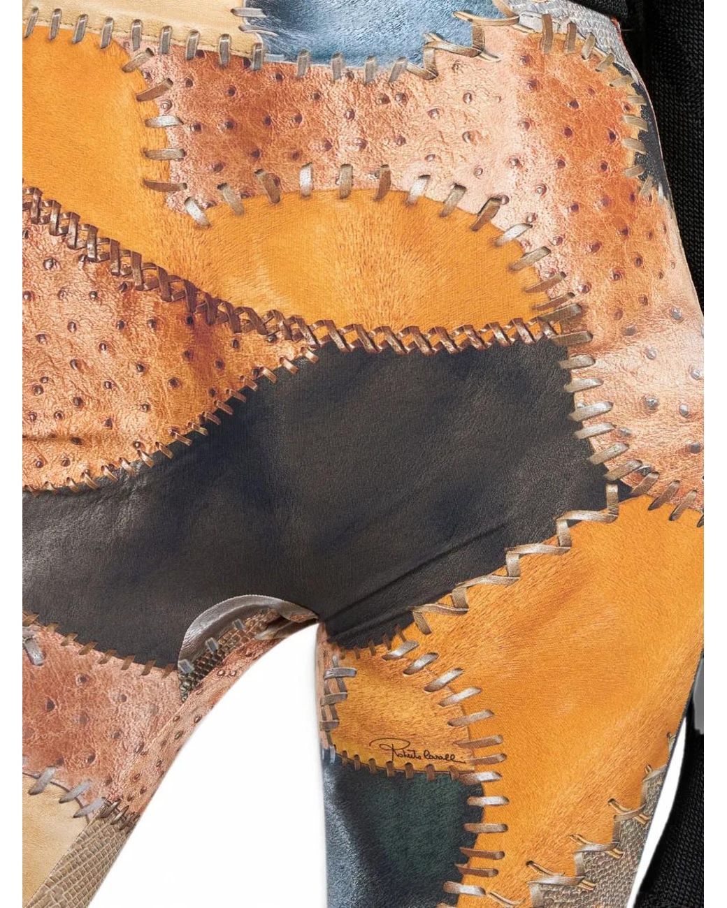 Pantaloni Stampa Patchwork di Roberto Cavalli in Multicolor