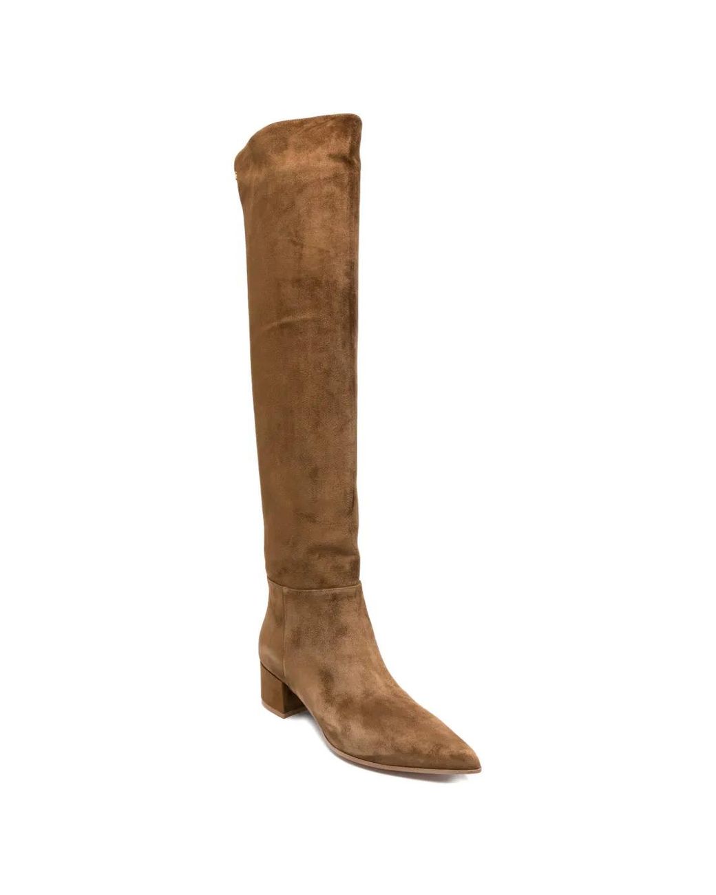Gianvito Rossi Brown Pointed-Toe Boots
