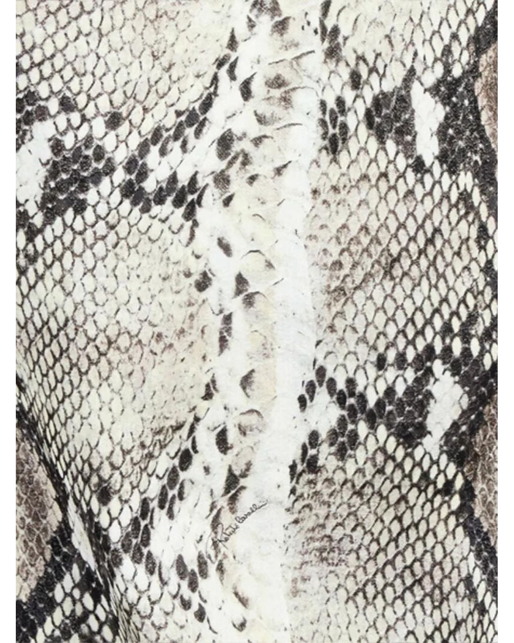 Roberto Cavalli White Python-Print Jacket
