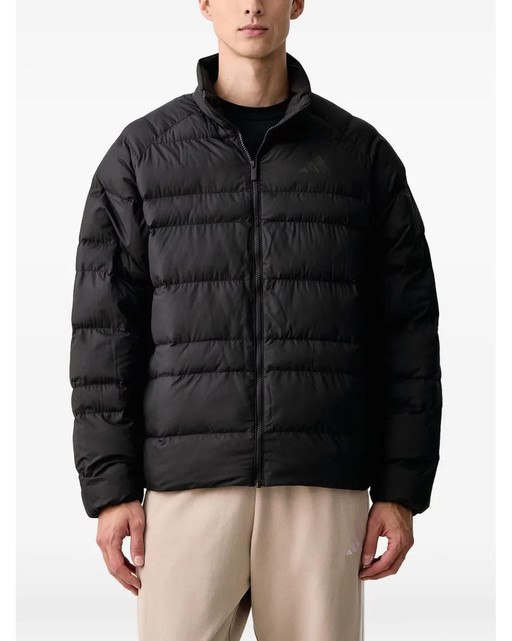 Adidas Black Essentials Packable Insulated Jacket for men
