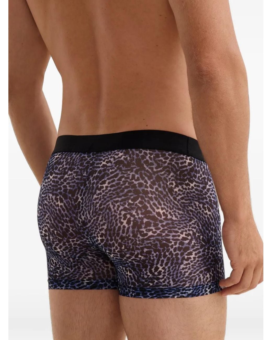 Aubade Blue Leopard-Print Boxers for men